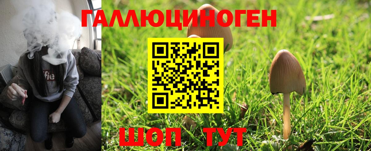 Отрадный  Галлюциногенные грибы ЛСД  Галлюциногенные грибы GOLDEN TEACHER  Вход с VPN 